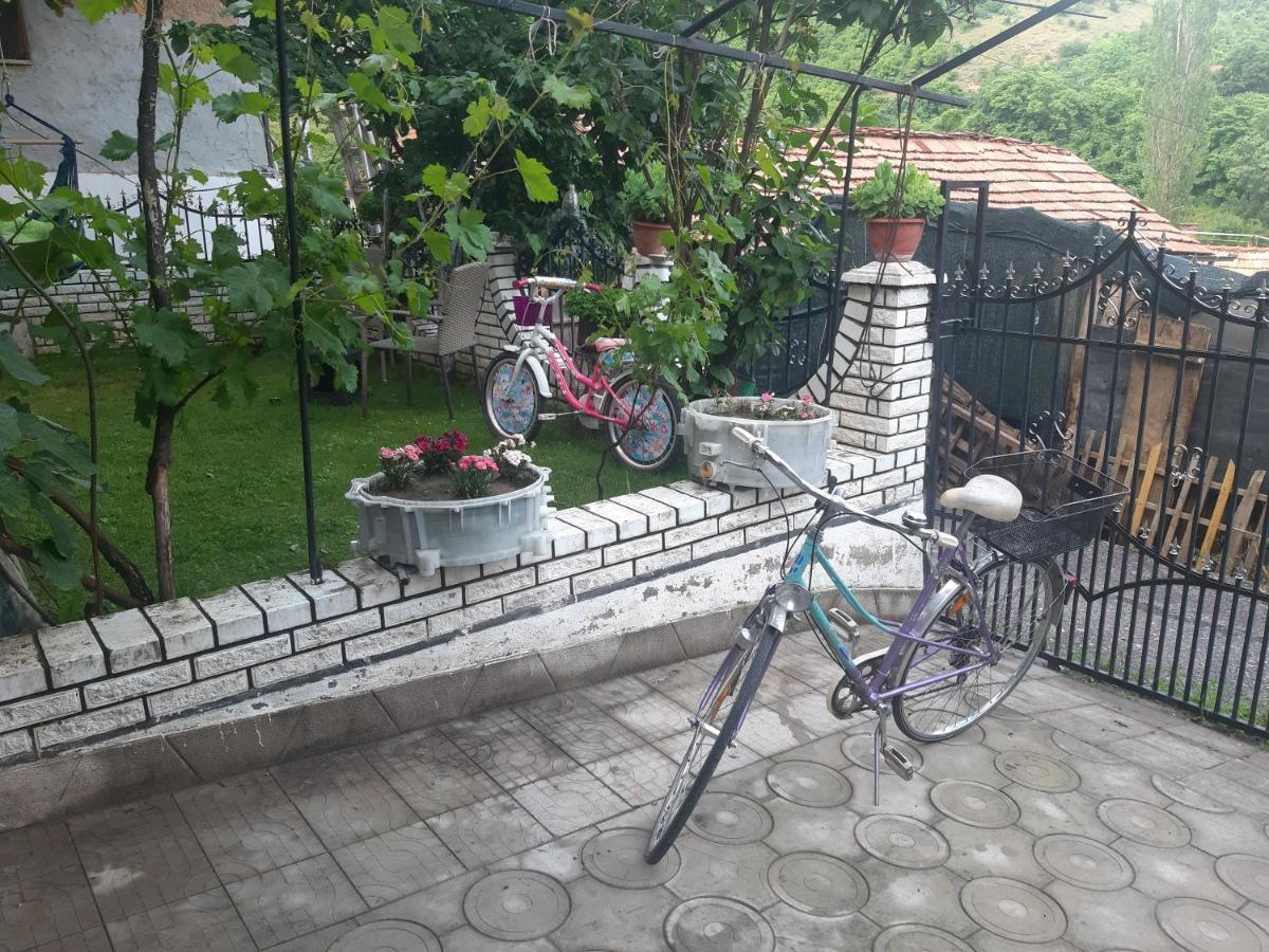 Vila Mir Pirot Zewnętrze zdjęcie
