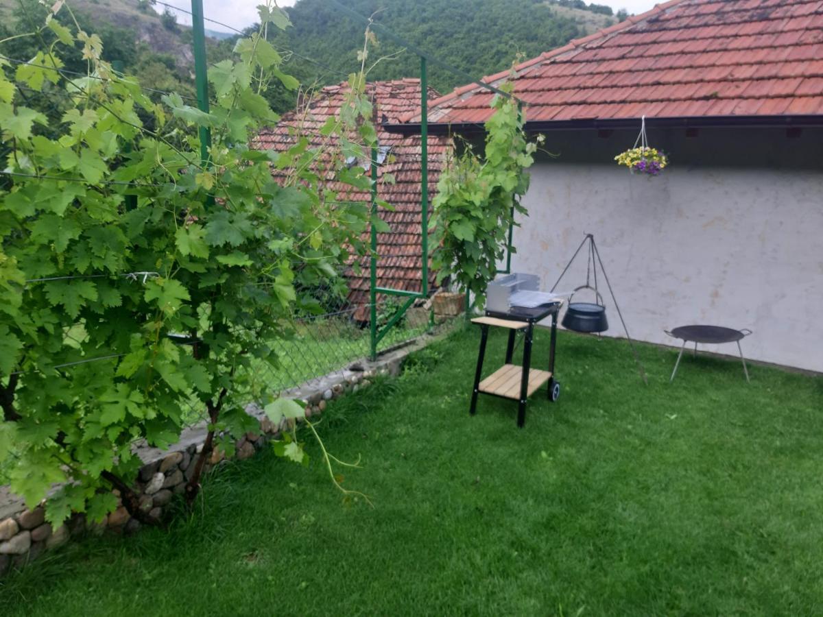 Vila Mir Pirot Zewnętrze zdjęcie