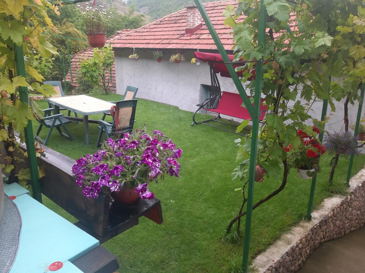 Vila Mir Pirot Zewnętrze zdjęcie