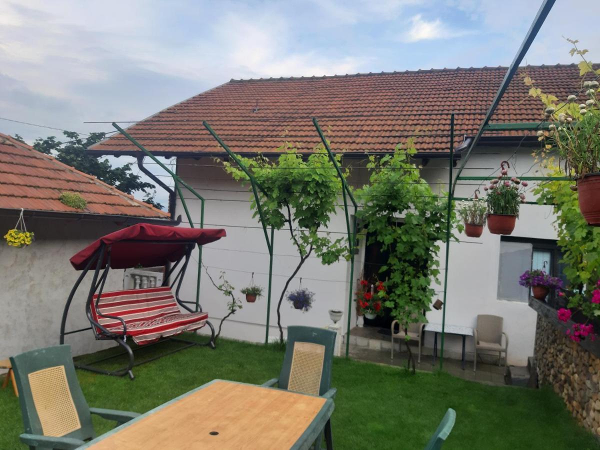 Vila Mir Pirot Zewnętrze zdjęcie